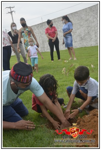 rolim de moura